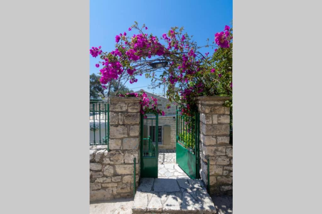 Thanos Cottage Vlachopoulatika ภายนอก รูปภาพ